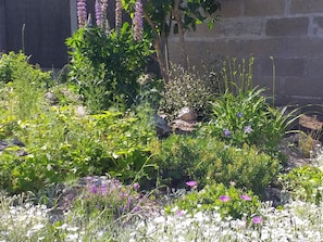 Ein Garten mit verschiedenen Pflanzen und Blumen, eine Steinmauer und ein Baum.