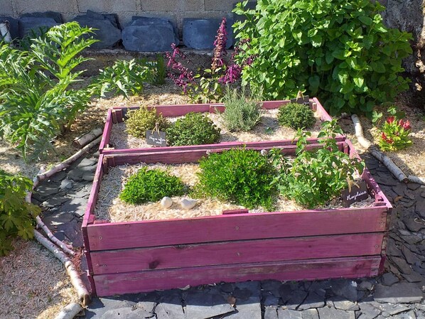A raised garden bed with various plants and a sign indicating 'Herbs & Vegetables.'