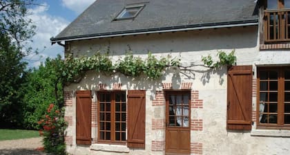 Charmantes Haus mit Garten in der Nähe von Schloss Cheverny - 6 Pers, Haustiere erlaubt