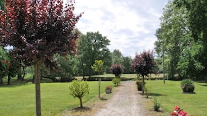 A gravel path leading through a garden with various trees and shrubs. - One-story house with park near Beauval Zoo (Meusnes)