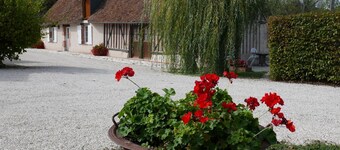 Charming Rustic Cottage with Private Terrace and Pet Allowed