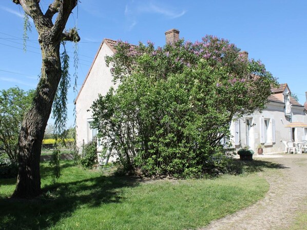 Exteriör