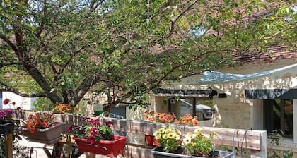 Cozy Gite with Private Heated Pool near Beauval Zoo and Chenonceau Castle