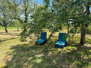 Two outdoor lounge chairs under a tree in a grassy area. - Idyllic Family Retreat: Spacious Home with Garden, Kid-Friendly Amenities, and Nearby Attractions (Couddes)