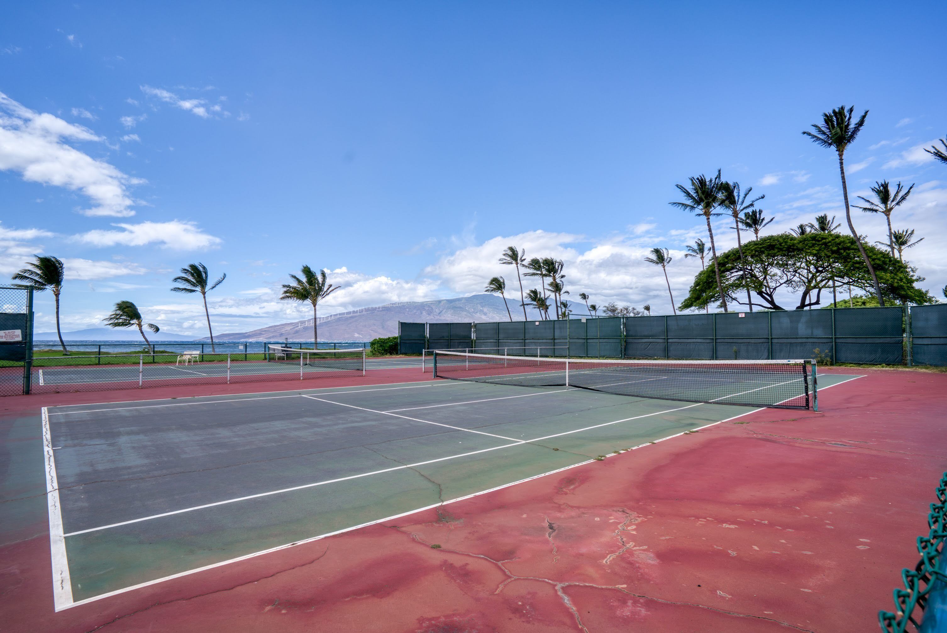 A tennis court with a net, surrounded by palm trees and a mountainous backdrop.