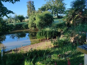 Surrounded by lush greenery, this serene setting offers a tranquil escape.