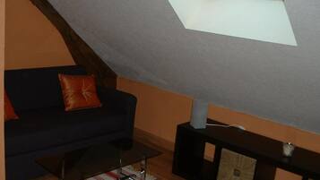 Televisie, een open haard en een dvd-speler