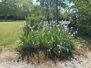 Property grounds - Charming Gîte with Fireplace, A/C, WiFi, and Large Garden in Serene Loire Valley Location (Le Controis-en-Sologne)