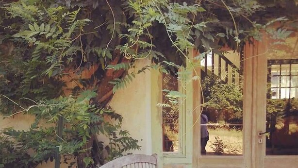 Un banc en bois, placé sous un arbre, avec une porte et une fenêtre en arrière-plan.