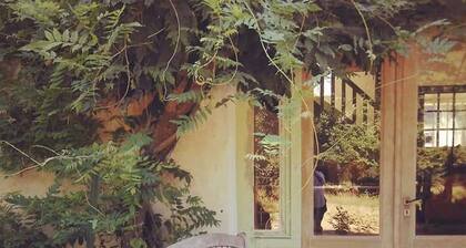 Charming 3-Bedroom Cottage in Sologne Forest with Modern Amenities and Scenic Views