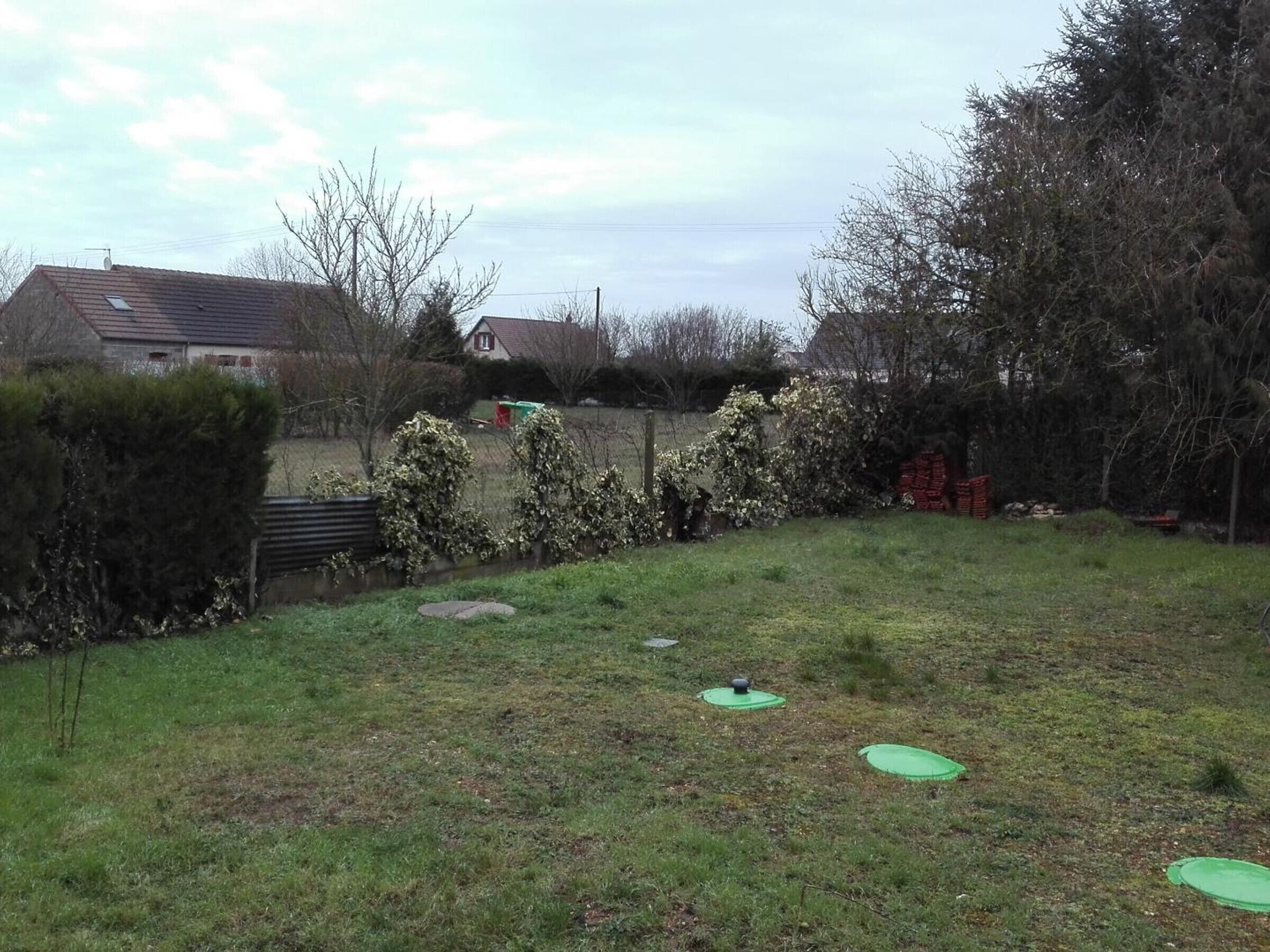 A grassy backyard with a wooden bench, a stone wall, and a few trees.