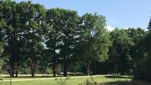 A golf course with a well-maintained fairway, surrounded by dense trees and grassy areas. - Single-story house with private garden, pets allowed (Villeherviers)