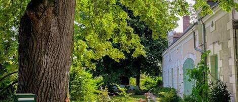 المنطقة المحيطة بالمنشأة