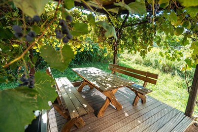 Holiday house Stillfried for 1 - 4 persons with 2 bedrooms - Holiday home