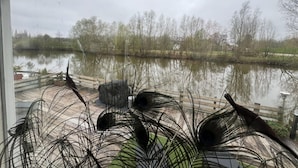 Une vue sur une rivière bordée d’arbres et surmontée d’un quai en bois.
