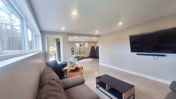 Télévision, cheminée, chaßne hi-fi