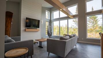 Télévision, cheminée, chaßne hi-fi