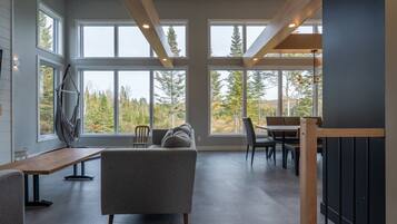 Télévision, cheminée, chaßne hi-fi