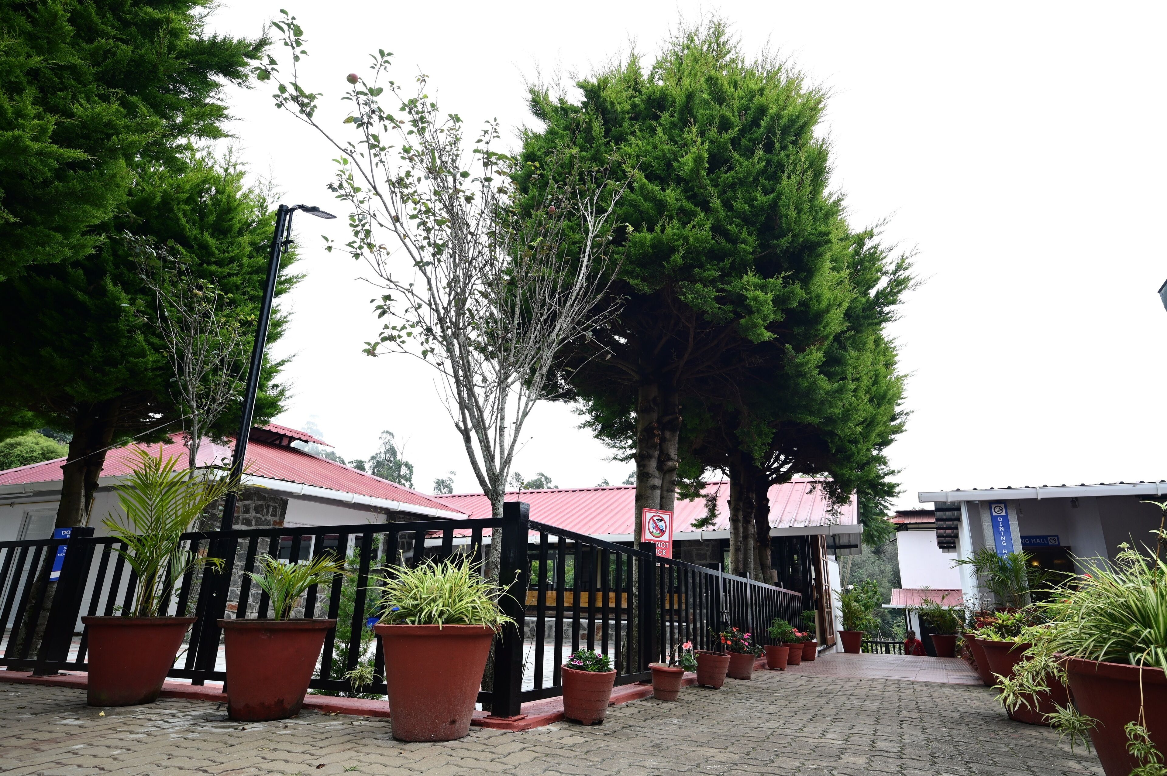 A paved walkway with potted plants and a black metal fence.