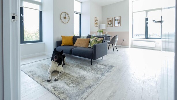 A spacious living room with a large window, a sofa, and a dog. - Two-bedroom by Leeds Art Gallery by Belvilla (Leeds)