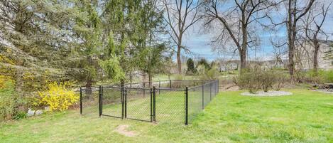 A fenced yard with grass, trees, and a clear sky.