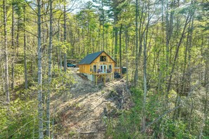 House (1 Bedroom) | Interior - Secluded Brevard Cabin w/ Private Waterfall! (Brevard)