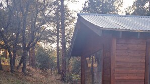 A wooden cabin with a sloped roof, surrounded by trees and a grassy area with some plants in the foreground. - Holly's Hideaway, Cabin in the Woods (Nogal)
