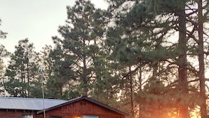 Exterior - Holly's Hideaway, Cabin in the Woods (Nogal)