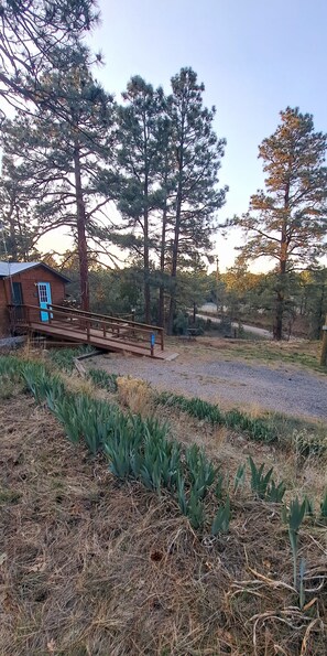 Property grounds - Holly's Hideaway, Cabin in the Woods (Nogal)