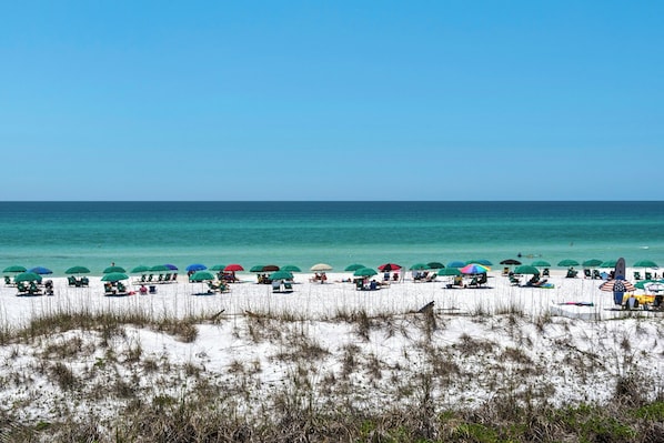 Une plage bordée de rangées de chaises de plage et de parasols, un premier plan sablonneux avec de l’herbe, et l’océan en arrière-plan.