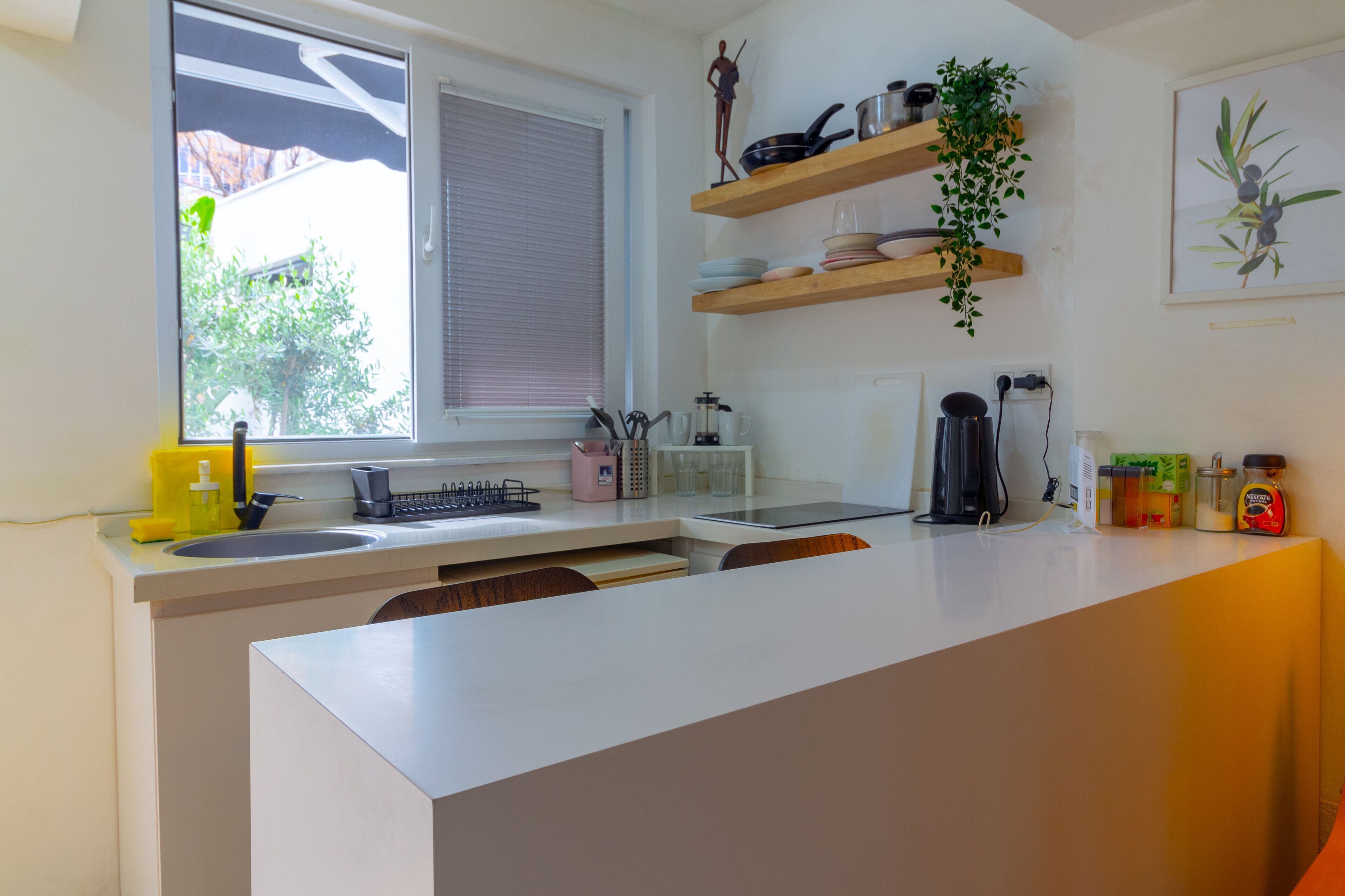 Photo - Alex Suites Lara