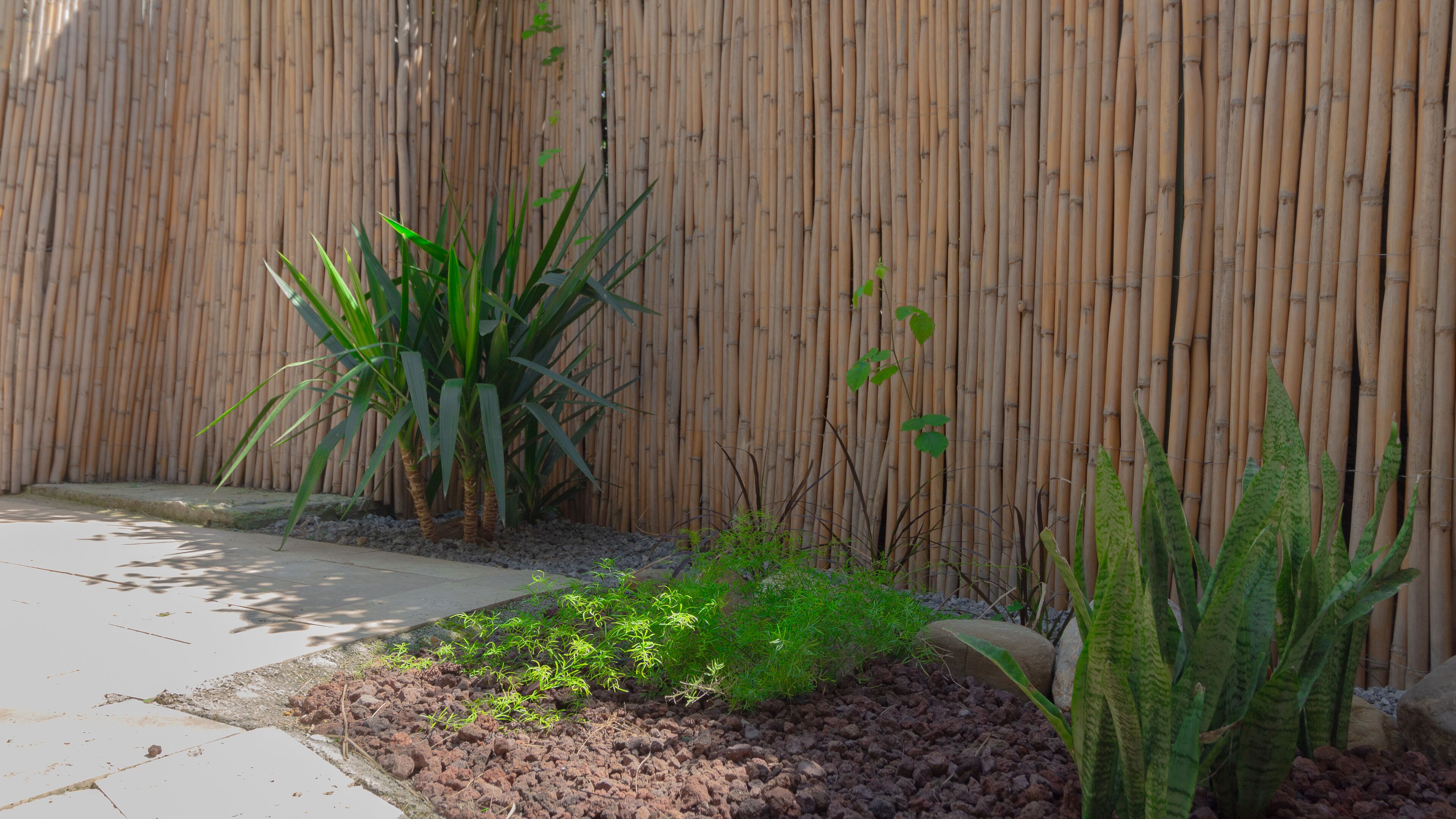 Photo - Alex Suites Lara