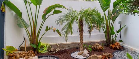 Superior Apartment | Living area | TV