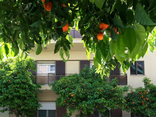 Exterior - Diagora1 (Athens)