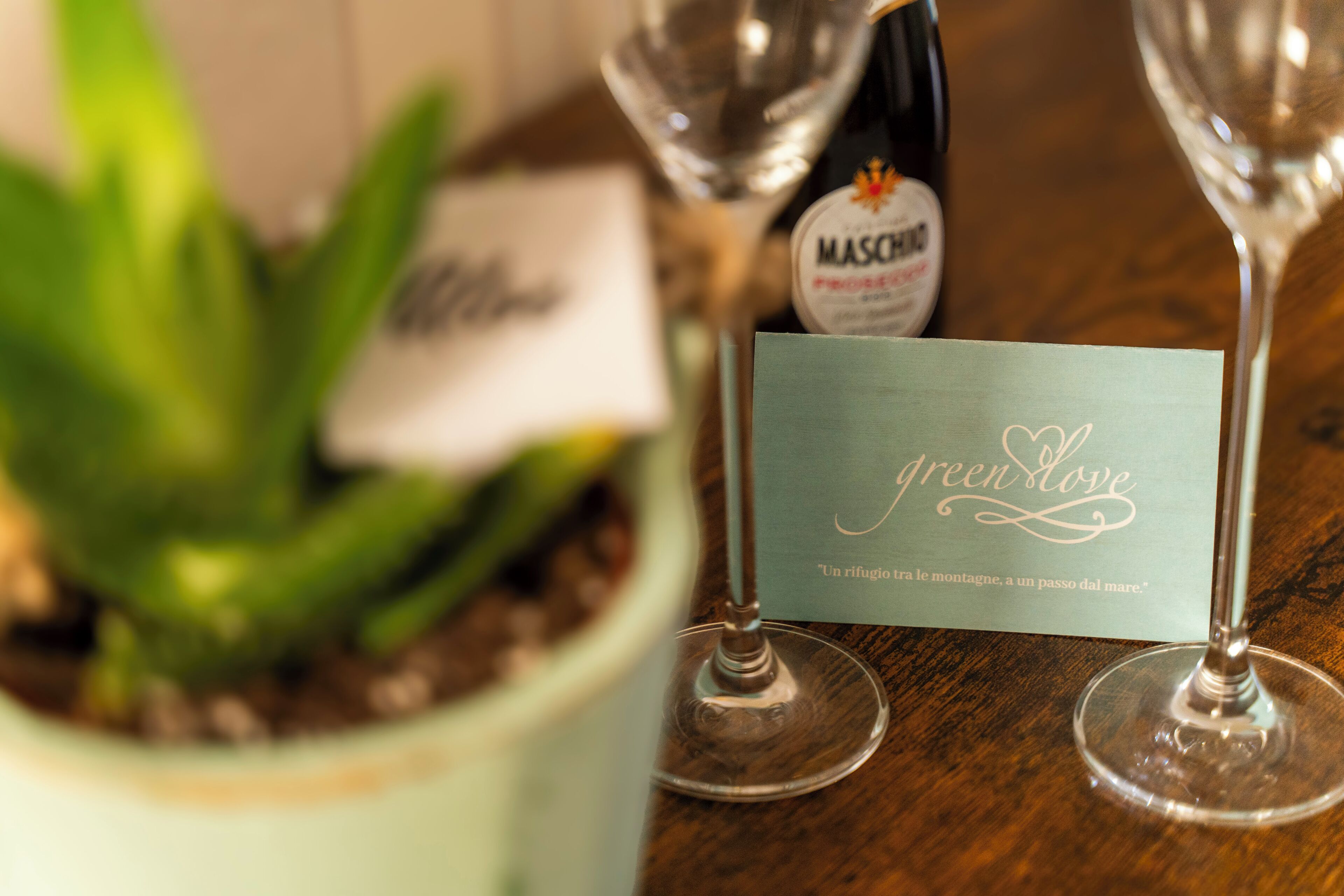 Una planta en maceta, una botella de vino Maschio y dos copas de vino con una tarjeta que dice 'green love'.