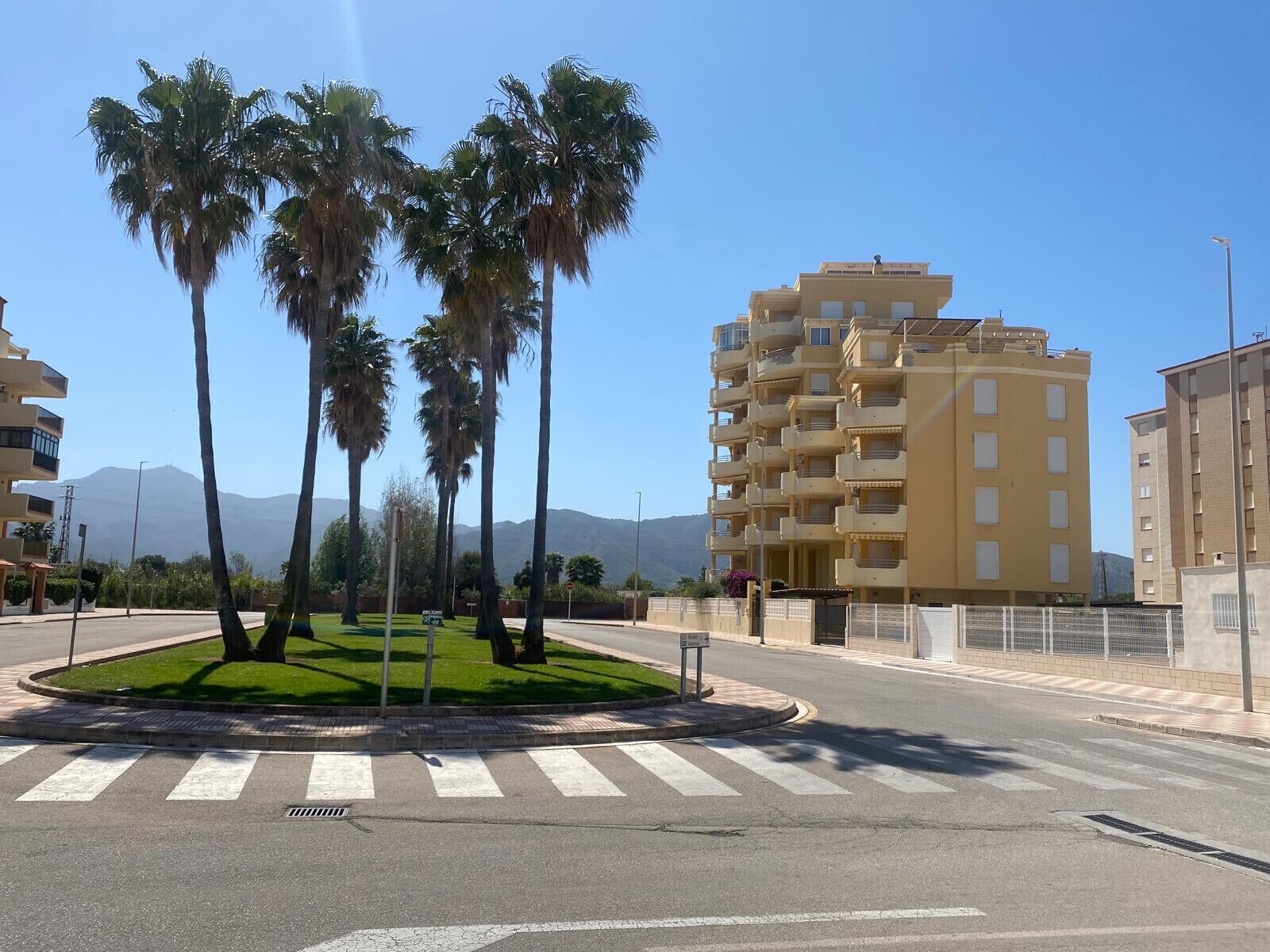 Una glorieta con palmeras, un paso de peatones y edificios residenciales con balcones.