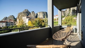 Habitación panorámica doble | Terraza o patio
