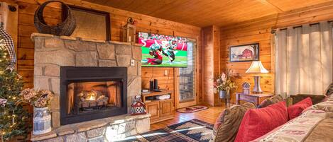 Smart-tv, pejs, videospil, dvd-afspiller