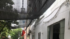 Un coche blanco estacionado en una calle estrecha, con un edificio a un lado y árboles al otro.