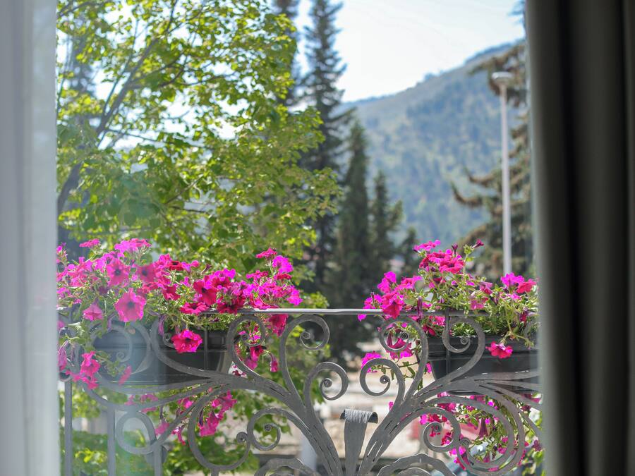A view through a window with a metal railing, featuring pink flowers and green foliage.