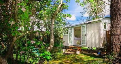 Beautiful Shepherds Hut B&B nr Stonehenge, Avebury, Salisbury, Bath - WiFi, TV