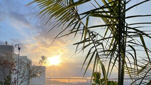 A rooftop terrace with a view of the sunset, a chair, and potted plants. - Cozy studio with AC and WiFi in enchanting San José (San José)