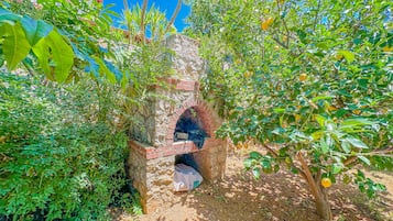 Terrein van de accommodatie