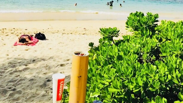 Une plage avec un rivage sablonneux, quelques personnes dans l’eau et des bâtiments en arrière-plan.