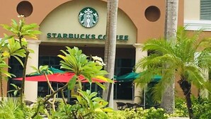 Un bâtiment de Starbucks au design moderne, entouré de palmiers et d’une végétation luxuriante.