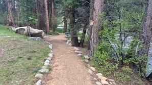 A forested path with a dirt trail, surrounded by trees and rocks. - AC! 2 Kings 2 Twins Condo - Walk to River! Close to downtown and RMNP (Estes Park)