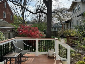 Terrace/patio - Lovely backyard cottage with easy access to metro, shops, dining! (Arlington)