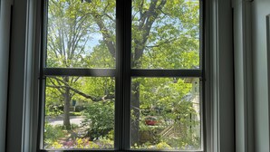 A window with a view of a garden and trees.