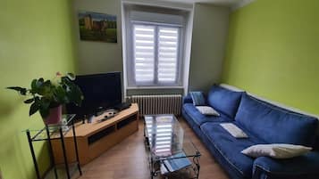 Televisor, reproductor de DVD, llibres i biblioteca musical