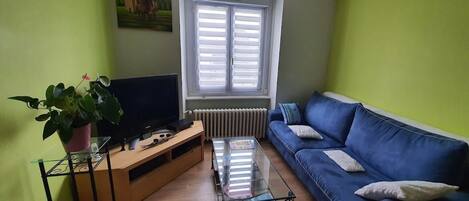 TV, DVD player, books, music library